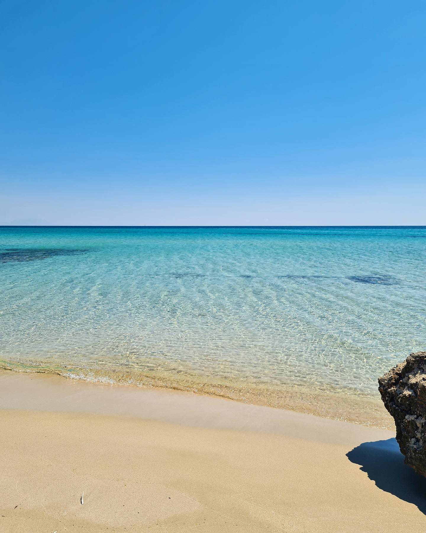 290019740_1195484434608501_6907141630204735153_n