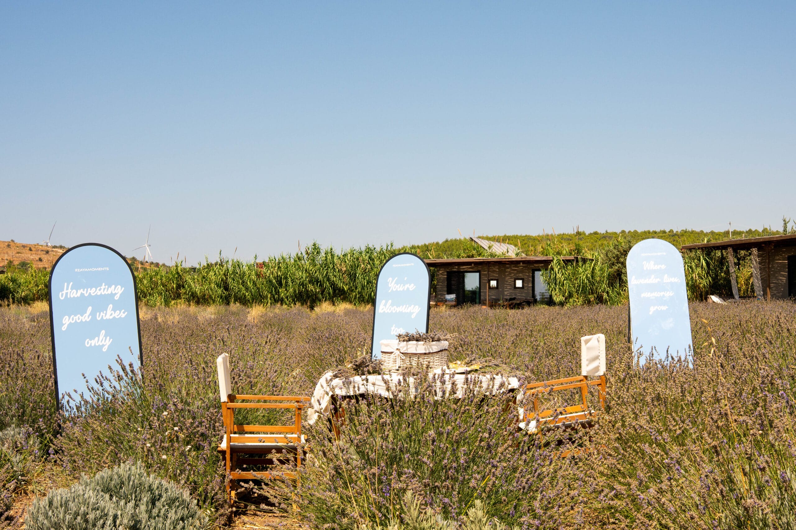 Zaya_Cesme_Beach (8)